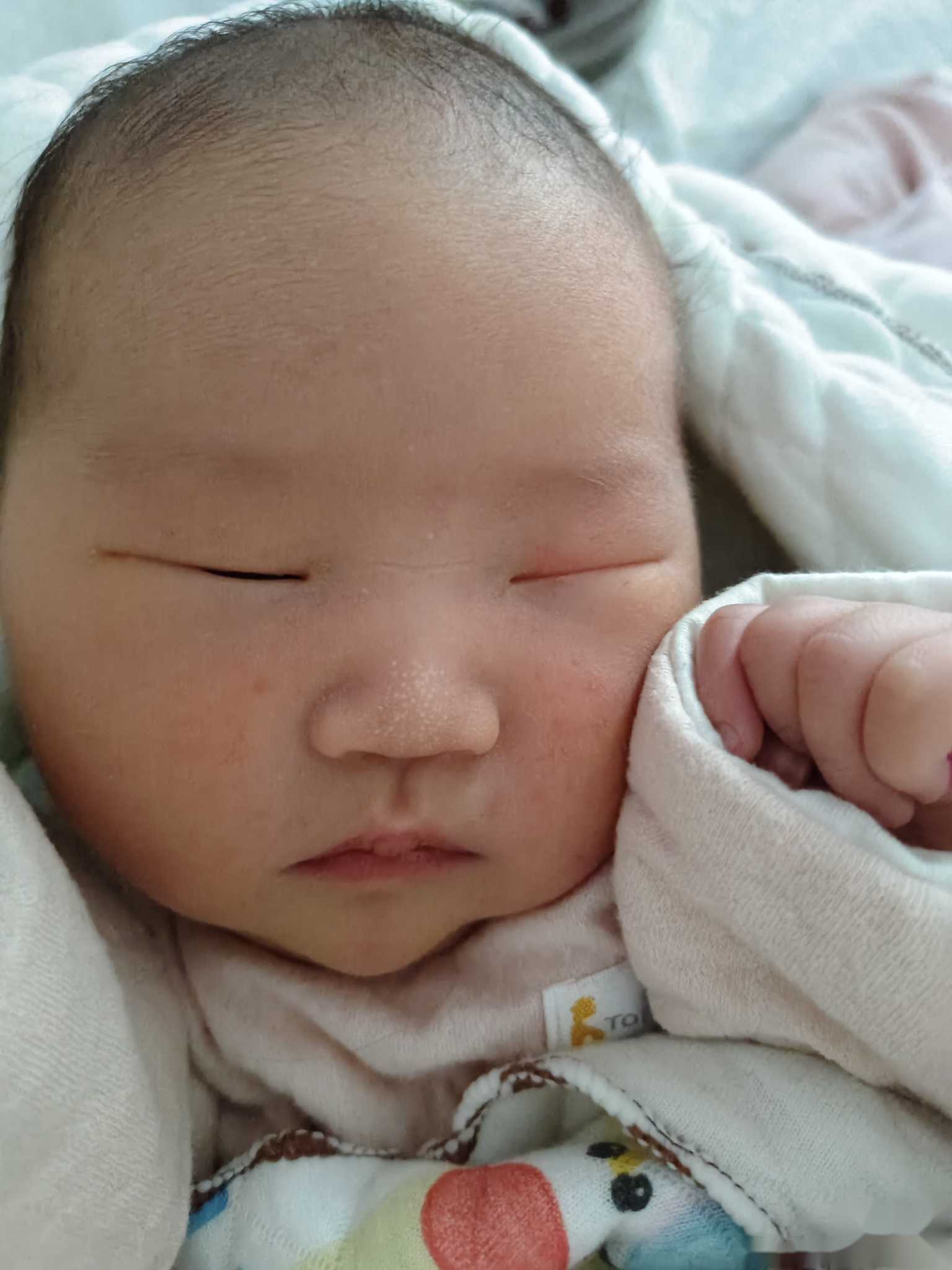 广州供卵试管代怀生子医院排名，附供卵生男孩费用一览！-代怀费用明细