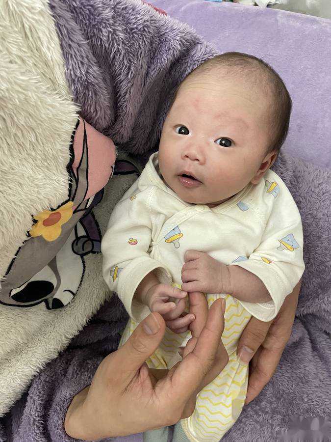捐卵要多少个，2026在国内公立三甲医院捐卵要多少个基础卵泡？