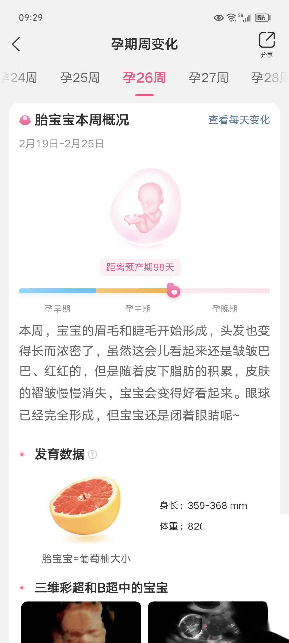 试管婴儿检查报告怎么看？AMH、性激素六项报告解读指南