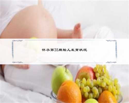 做供卵试管婴儿，2023上海九院高龄做供卵试管婴儿费用大概多少？