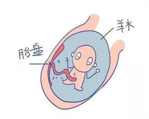 专业代怀孕成功率_盆腔炎与附件炎的区别