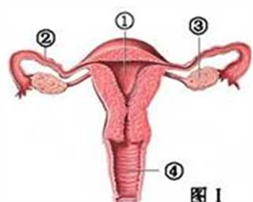 代孕前期检查_孕晚期同房了怎么办？