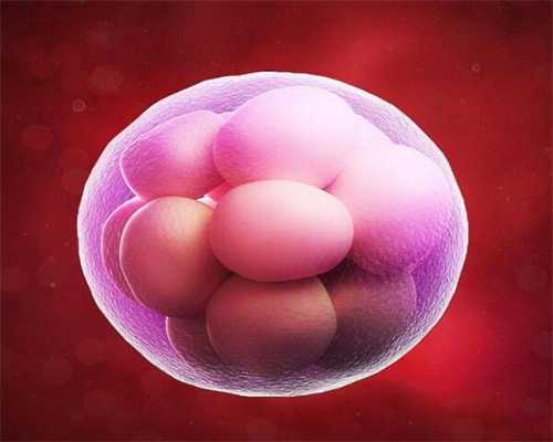 代怀孩子_排卵后卵细胞存活多久呢 卵子排出后多久能受精