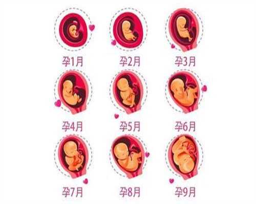 代孕怎么付款的_孕妇可以吃罐装的八宝粥吗